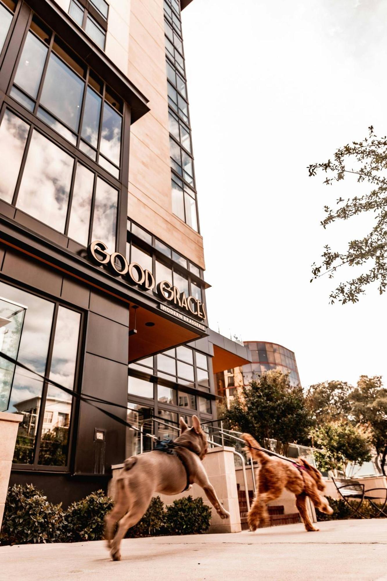 Marriott Dallas Uptown Dış mekan fotoğraf